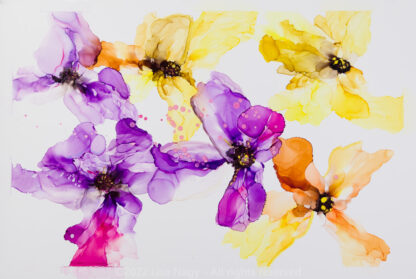 Colour FULL